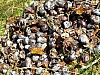 DSCN5884.jpg DSCN5884.jpg